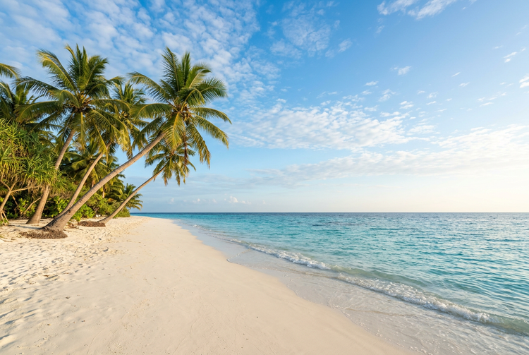 Palm trees leaning over a white sand beach and calm turquoise water